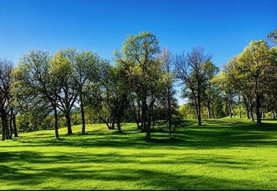 Exceptional opportunity to build your dream home in the - photo 4