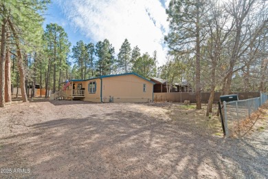 Lake Home For Sale in Lakeside, Arizona