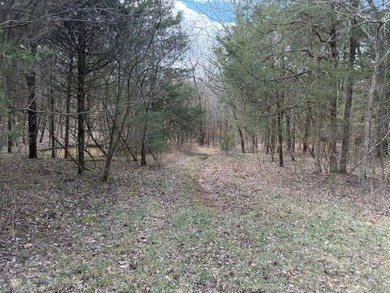 217.088 Acres in Three Separate Tracts Discover the perfect - photo 5