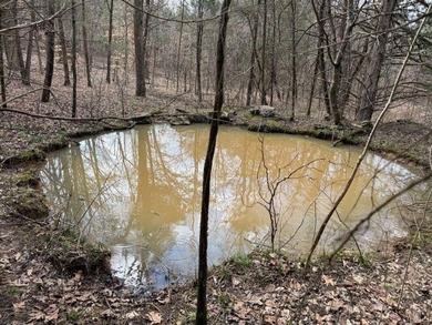 217.088 Acres in Three Separate Tracts Discover the perfect - photo 6