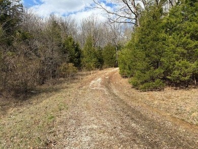 217.088 Acres in Three Separate Tracts Discover the perfect - photo 7