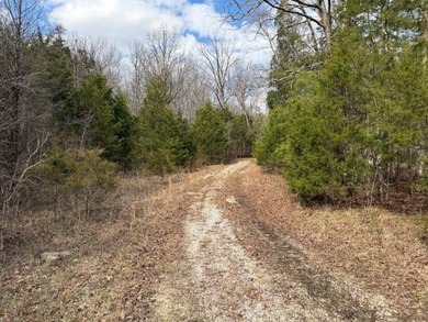 217.088 Acres in Three Separate Tracts Discover the perfect - photo 9