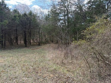 217.088 Acres in Three Separate Tracts Discover the perfect - photo 10