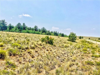 Lake Acreage For Sale in Hartsel, Colorado