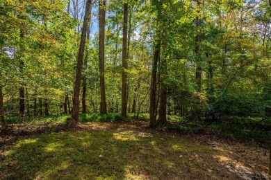 Smith Mountain Lake Lot For Sale in Moneta Virginia