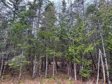 Tucked away in the private High Head community of East Machias - photo 4