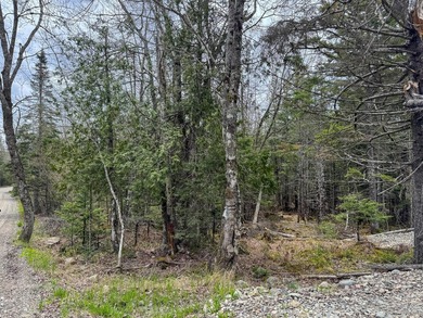 Tucked away in the private High Head community of East Machias - photo 5