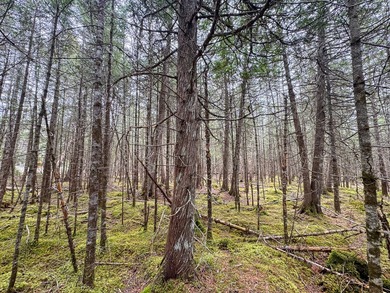Tucked away in the private High Head community of East Machias - photo 6