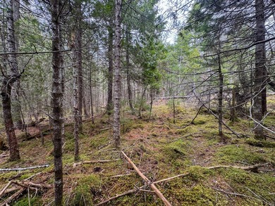 Tucked away in the private High Head community of East Machias - photo 7