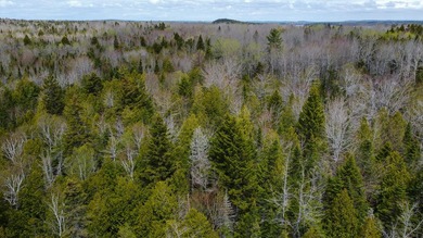 Tucked away in the private High Head community of East Machias - photo 10