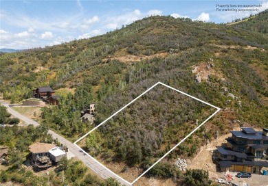 (private lake, pond, creek) Lot For Sale in Steamboat Springs Colorado