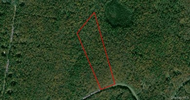 Weiden Lake Acreage For Sale in Narrowsburg New York