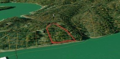 Cherokee Lakefront Lot in Chelaque - photo 21