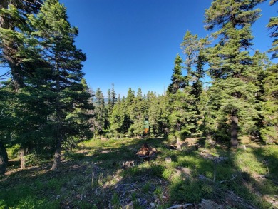 Navajo Lake Lot For Sale in Duck Creek Utah