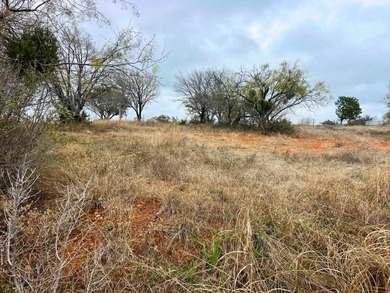 Dreaming of Hill Country living? This prime lot in Horseshoe Bay - photo 11