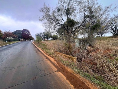 Dreaming of Hill Country living? This prime lot in Horseshoe Bay - photo 14