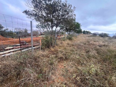 Dreaming of Hill Country living? This prime lot in Horseshoe Bay - photo 15