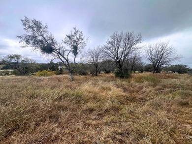 Dreaming of Hill Country living? This prime lot in Horseshoe Bay - photo 18