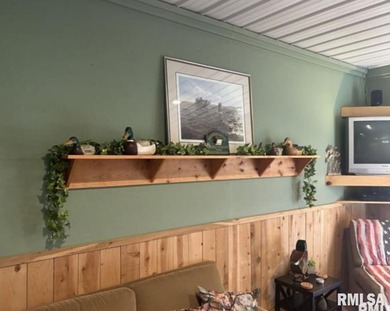 ILLINOIS RIVER VALLEY DUCK CLUBFEATURES COZY, RUSTIC CLUBHOUSE - photo 10