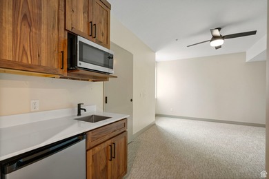 Modern Luxury Condo Near Bear Lake Short term rental Approved - photo 25