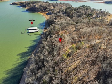 Cherokee Lakefront Lot in Chelaque - photo 15