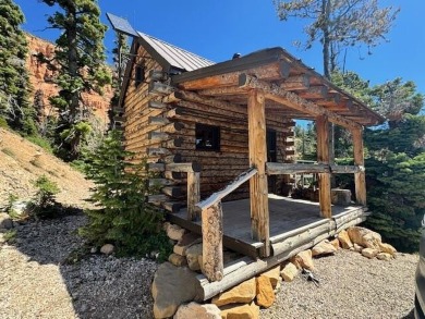 Navajo Lake Home For Sale in Duck Creek Utah