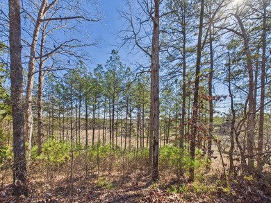 This spacious 4 bedroom 3.5 bath home offers approximately 3,079 - photo 14