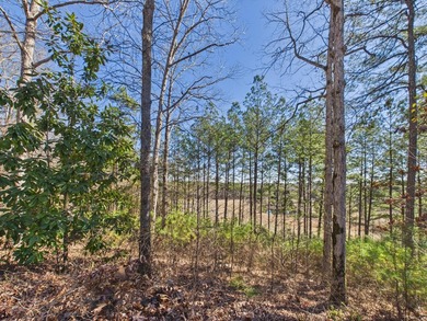 This spacious 4 bedroom 3.5 bath home offers approximately 3,079 - photo 15