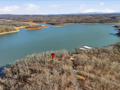 Cherokee Lakefront Lot in Chelaque - photo 16