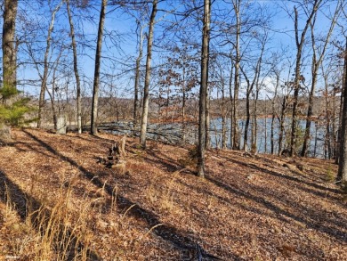 Cherokee Lakefront Lot in Chelaque - photo 7