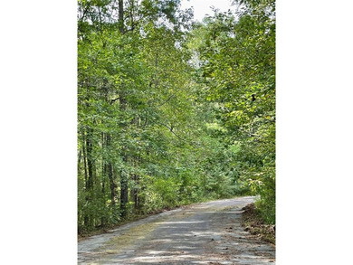 (private lake, pond, creek) Lot For Sale in Kennesaw Georgia