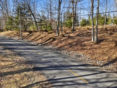 Cherokee Lakefront Lot in Chelaque - photo 5