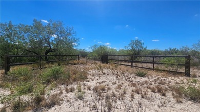 (private lake, pond, creek) Acreage For Sale in Benavides Texas