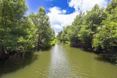 Welcome to this beautifully maintained turn-key three-story - photo 46