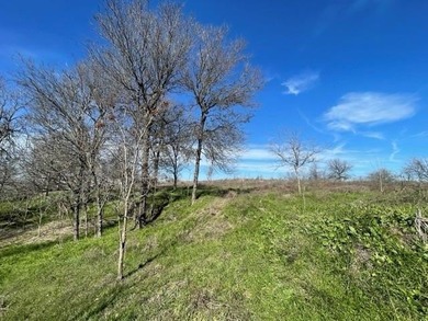 Richland Chambers Lake Acreage For Sale in Richland Texas