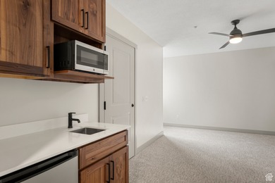 Modern Luxury Condo Near Bear Lake Short term rental Approved - photo 21