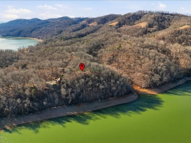 Cherokee Lakefront Lot in Chelaque - photo 3