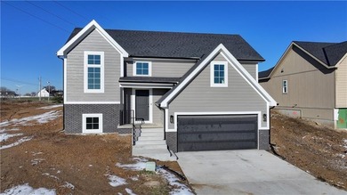 (private lake, pond, creek) Home For Sale in Kansas City Missouri