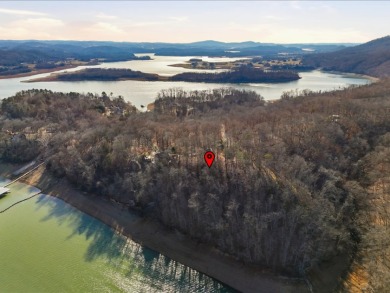 Cherokee Lakefront Lot in Chelaque - photo 14