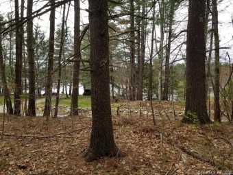 Lake Bungee Lot For Sale in Woodstock Connecticut