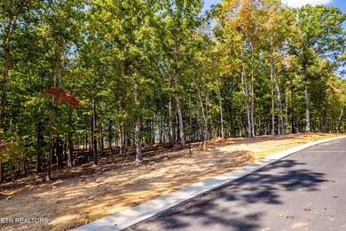 Welcome to an extraordinary opportunity in East Tennessee - photo 11