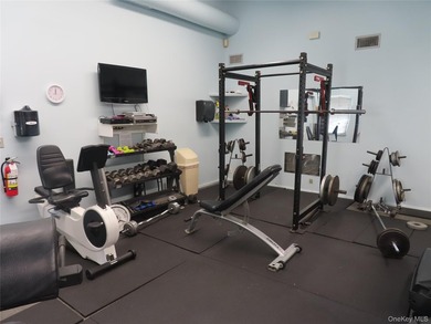 Welcome to this beautifully updated, main level, deluxe size - photo 11