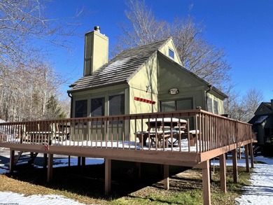 Lake Home For Sale in Davis, West Virginia