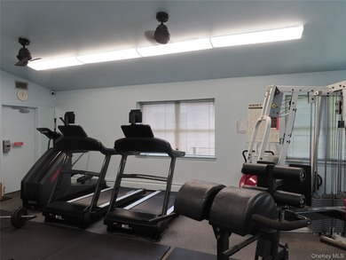 Welcome to this beautifully updated, main level, deluxe size - photo 12