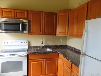 Welcome to this beautifully updated, main level, deluxe size - photo 14
