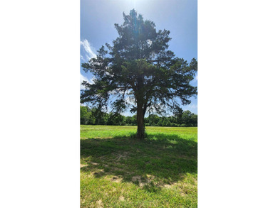 Located just 1.5 miles north of Mount Ida, this 3.34-acre lot is - photo 17