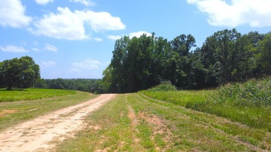 Located just 1.5 miles north of Mount Ida, this 3.34-acre lot is - photo 19
