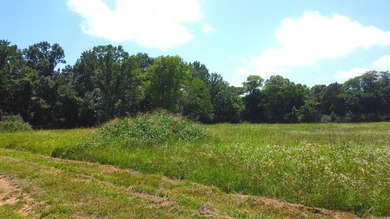 Located just 1.5 miles north of Mount Ida, this 3.34-acre lot is - photo 21