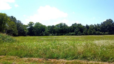 Located just 1.5 miles north of Mount Ida, this 3.34-acre lot is - photo 22