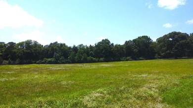 Located just 1.5 miles north of Mount Ida, this 3.34-acre lot is - photo 24